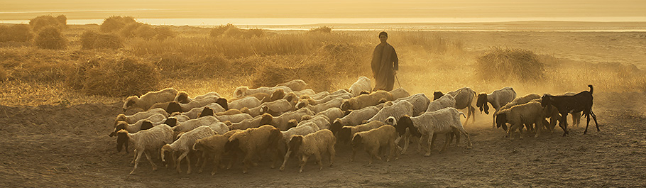 jo pásztor